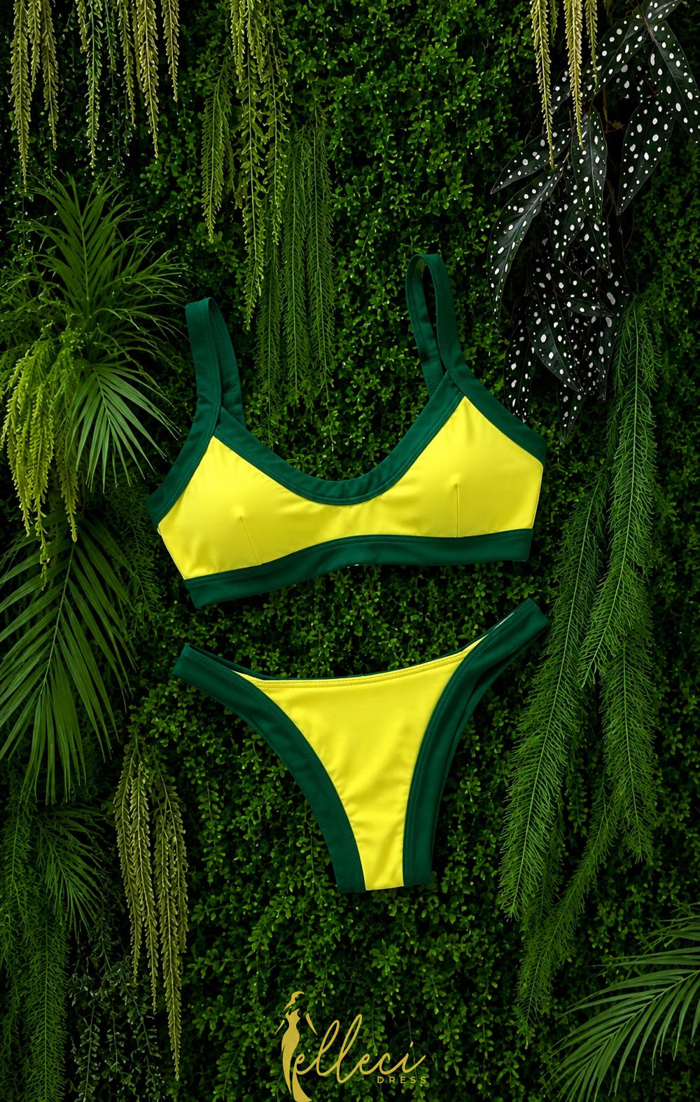 COSTUME BRASIL